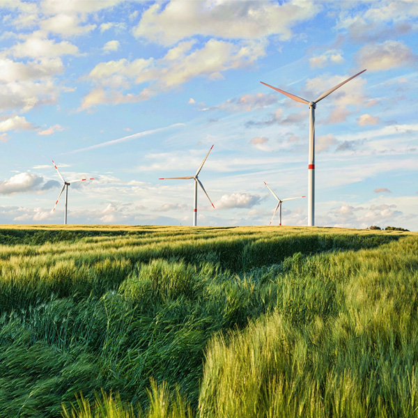 Éstas son las salidas profesionales si estudias energías renovables